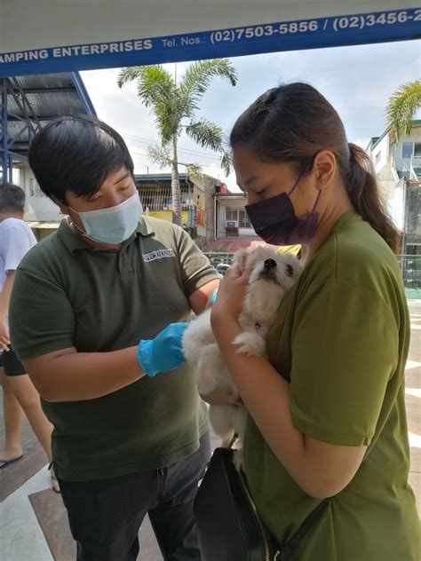 department of veterinary services city pound|QUEZON CITY VETERINARY DEPARTMENT.